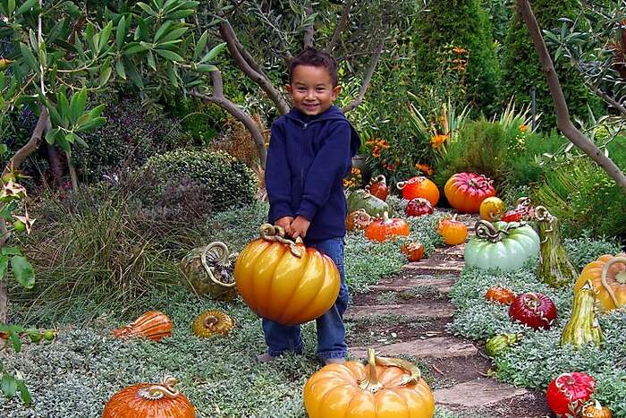 Glass Pumpkin Patch, Richmond: Art blooms