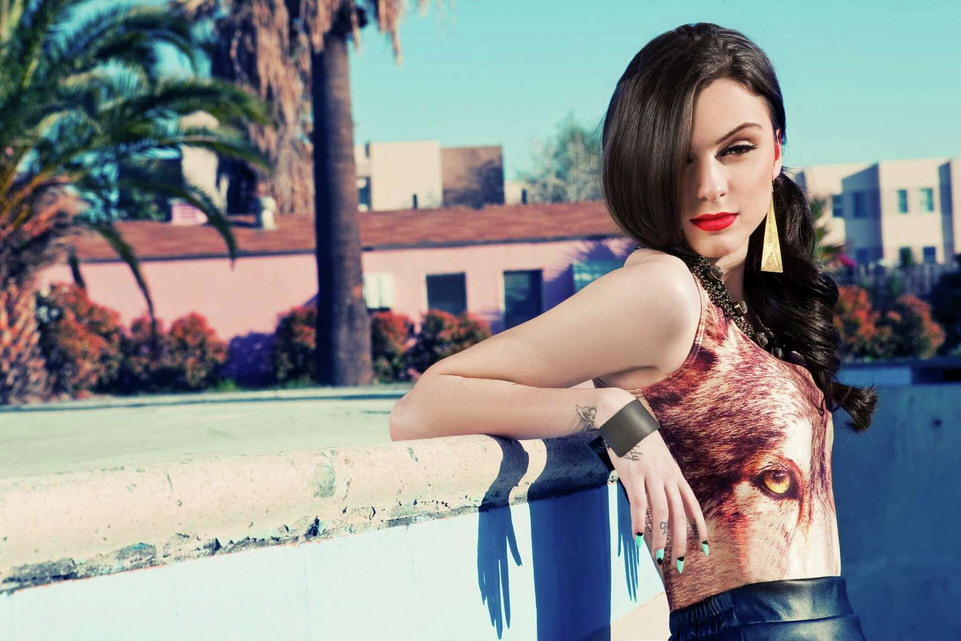 Cher Lloyd throws catchy 'Stones', image size:1920x1280
