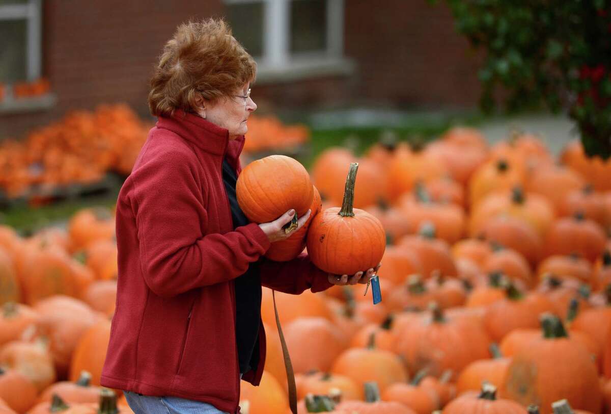 Photos At the pumpkin patch