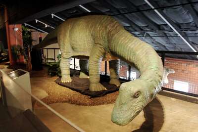 Sugar Land Residents Invited To Visit Culture Close To Home