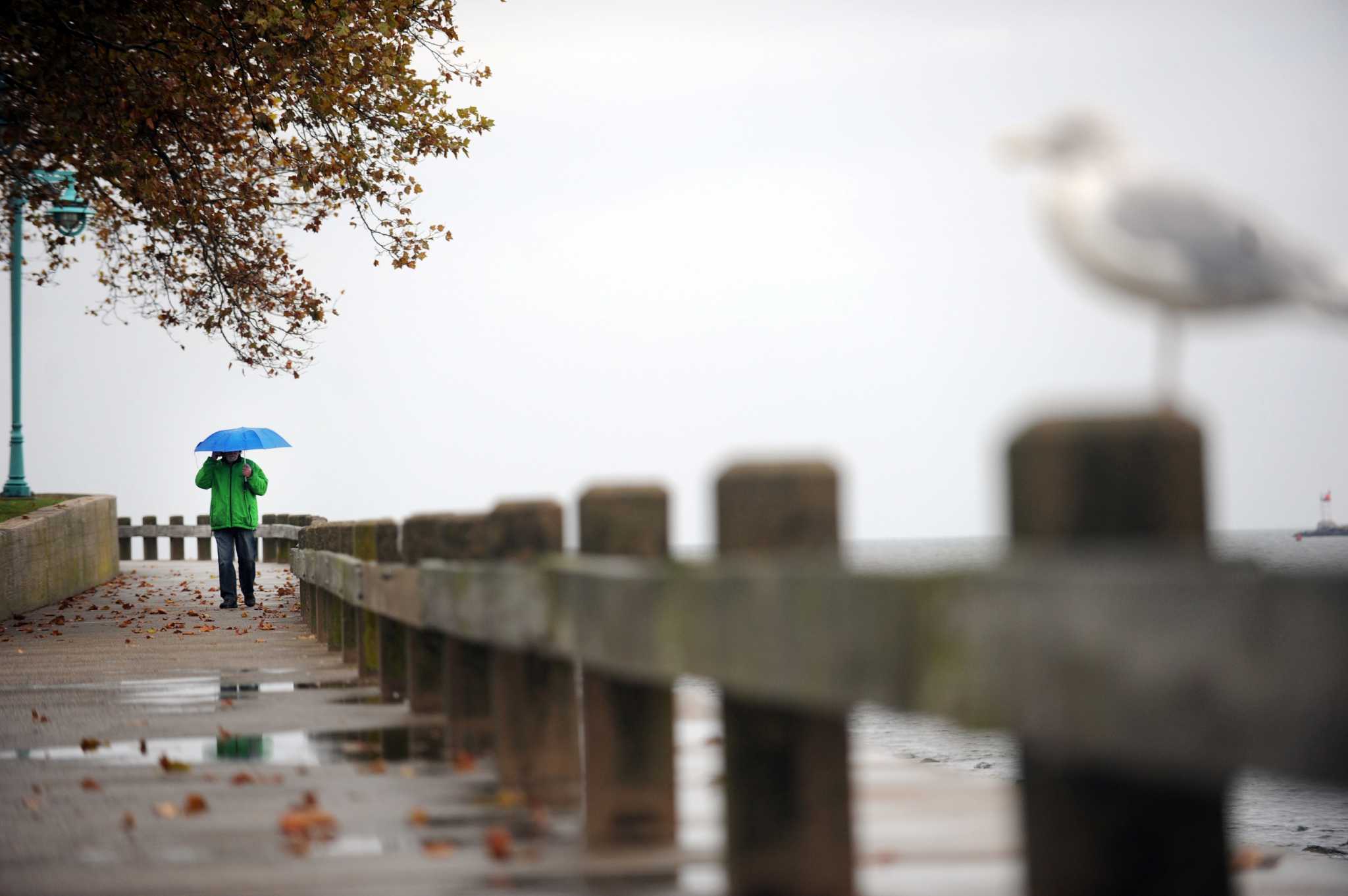 Scattered showers today