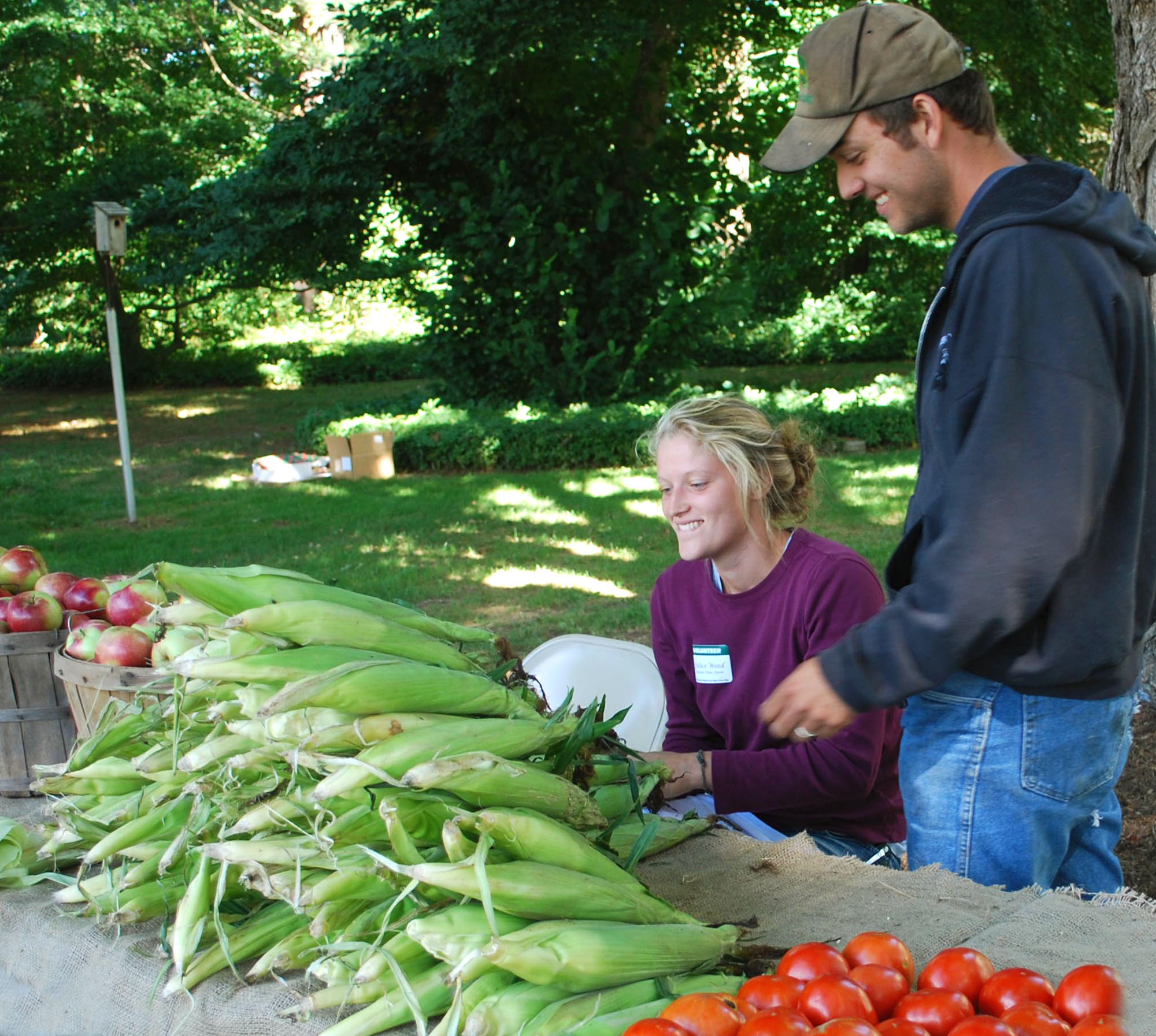 Tasting life on a farm -- Sunny Valley style