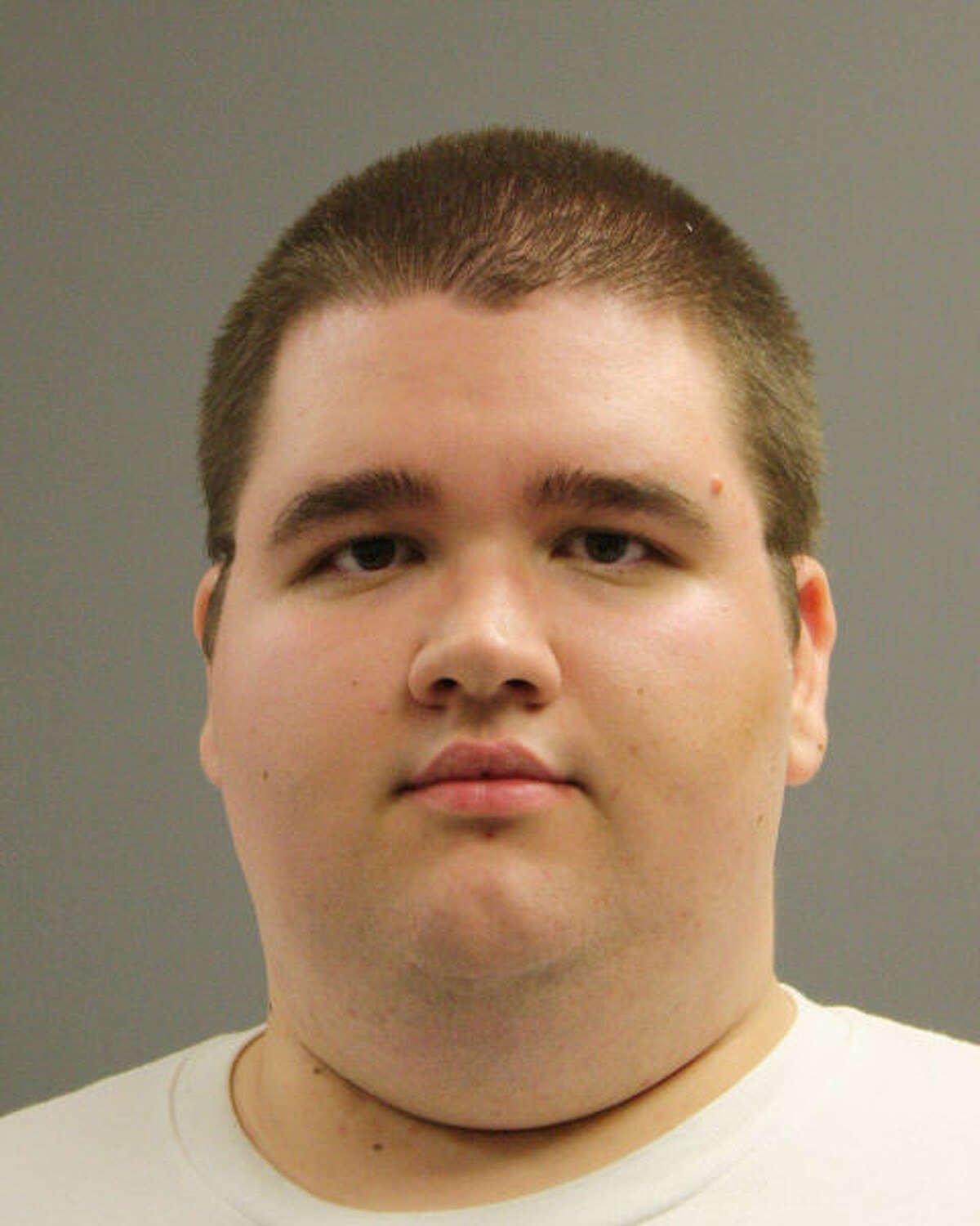 Patrick Joseph Hudson, 19, of Katy, has been charged with making a terroristic threat for posting a plan online to kill several young children during a school shooting. (HCSO)