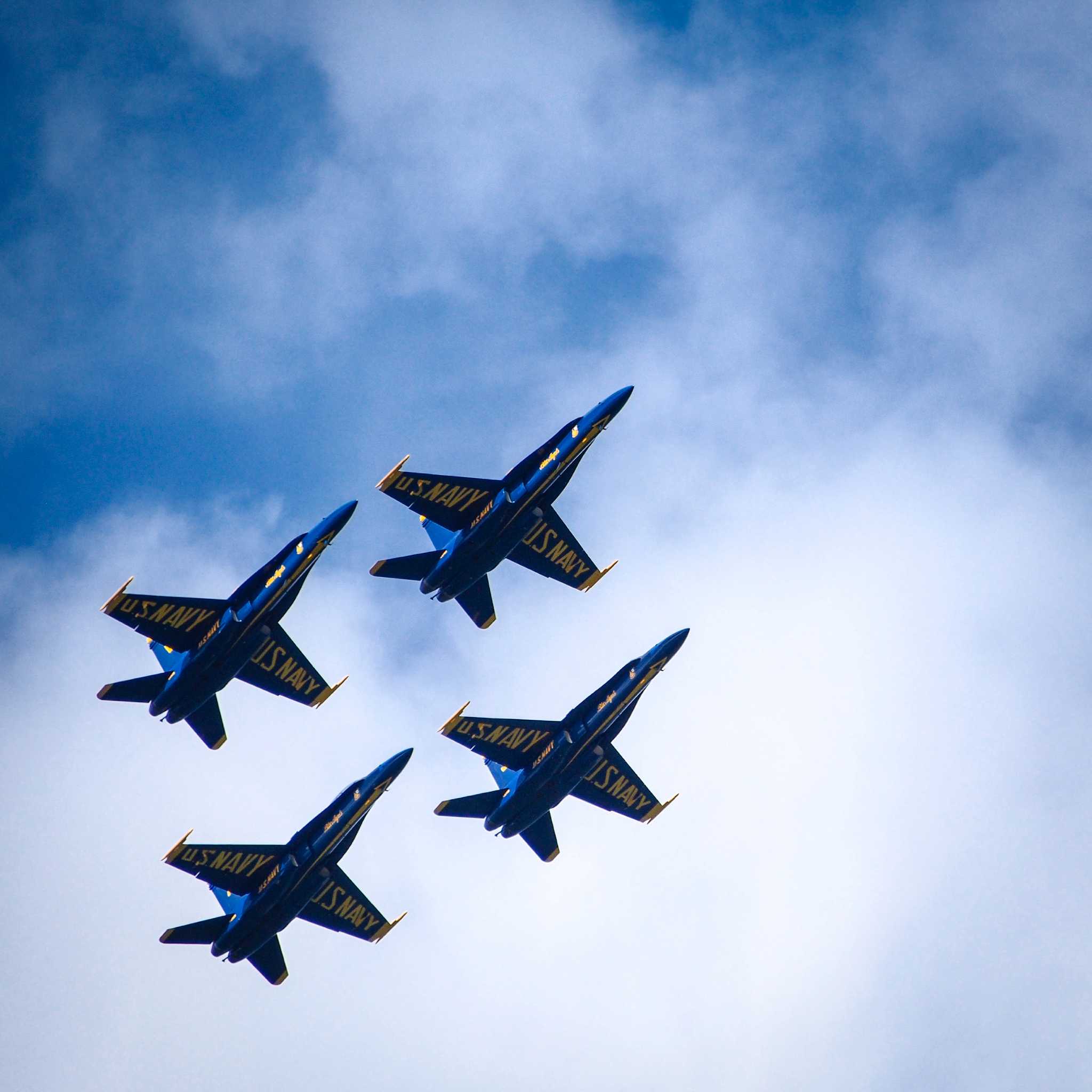 U.S. Navy Blue Angels by Tom Jersey