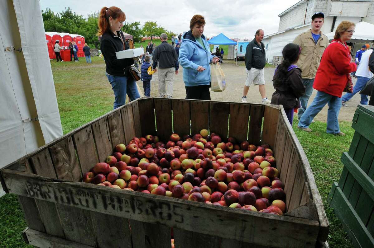 Photos The Capital Region enjoys Apple Festival