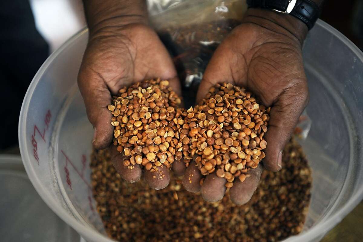 Ethiopian Crops Satisfy Hunger For Home   1200x0 