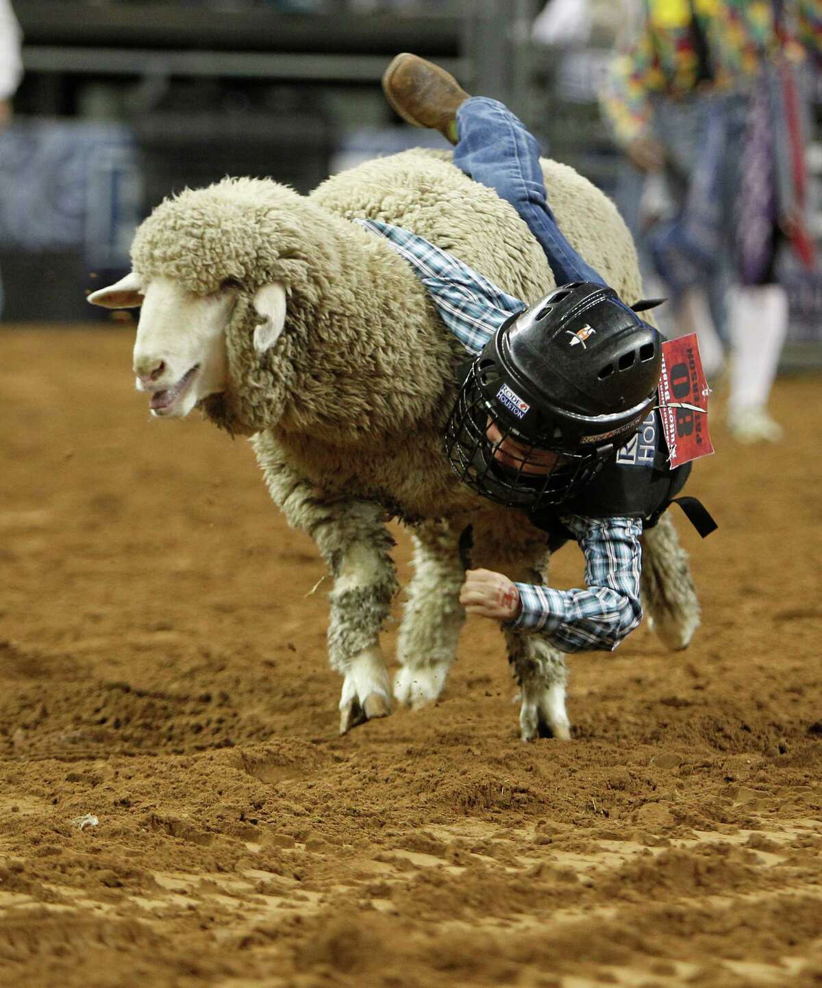 brazoria-county-fair-marks-74th-year