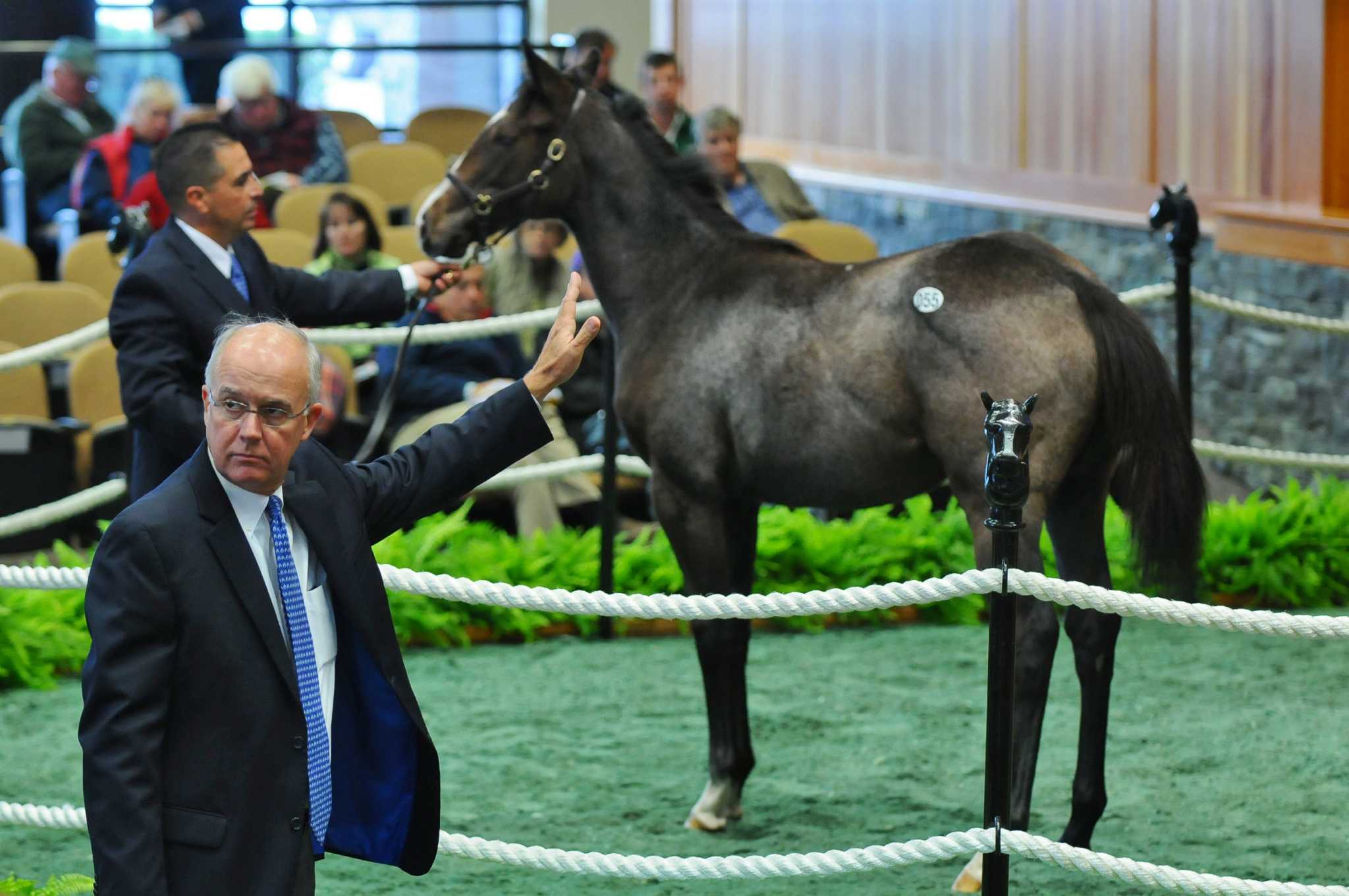 FasigTipton Saratoga Fall Sale