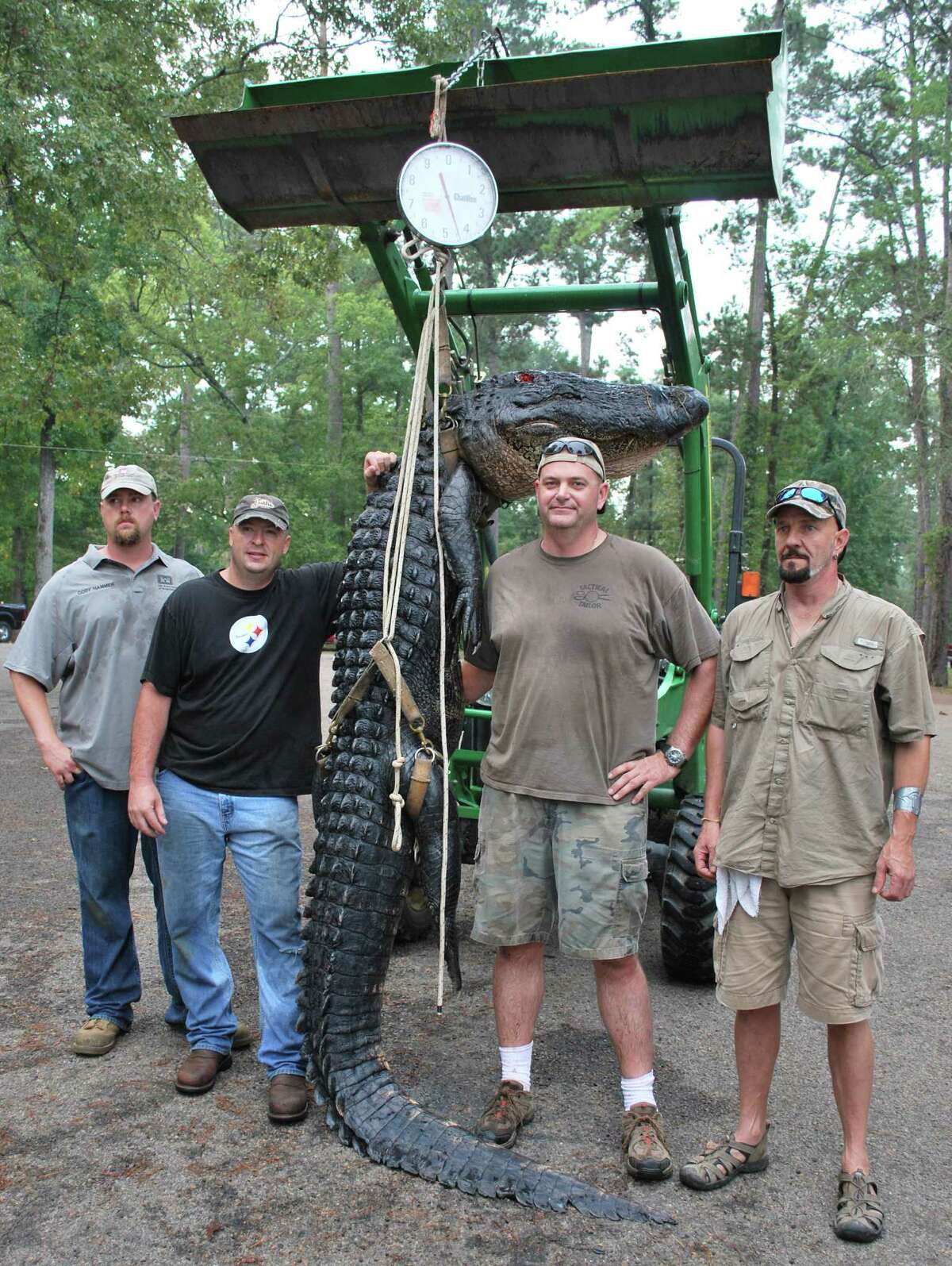A successful hunt garnering a 12ft 2 inch alligator weighin in at 455 pounds