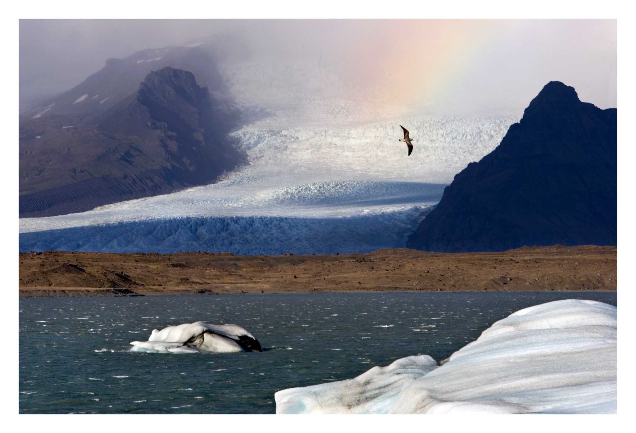 'Taste of Iceland' lands in Seattle