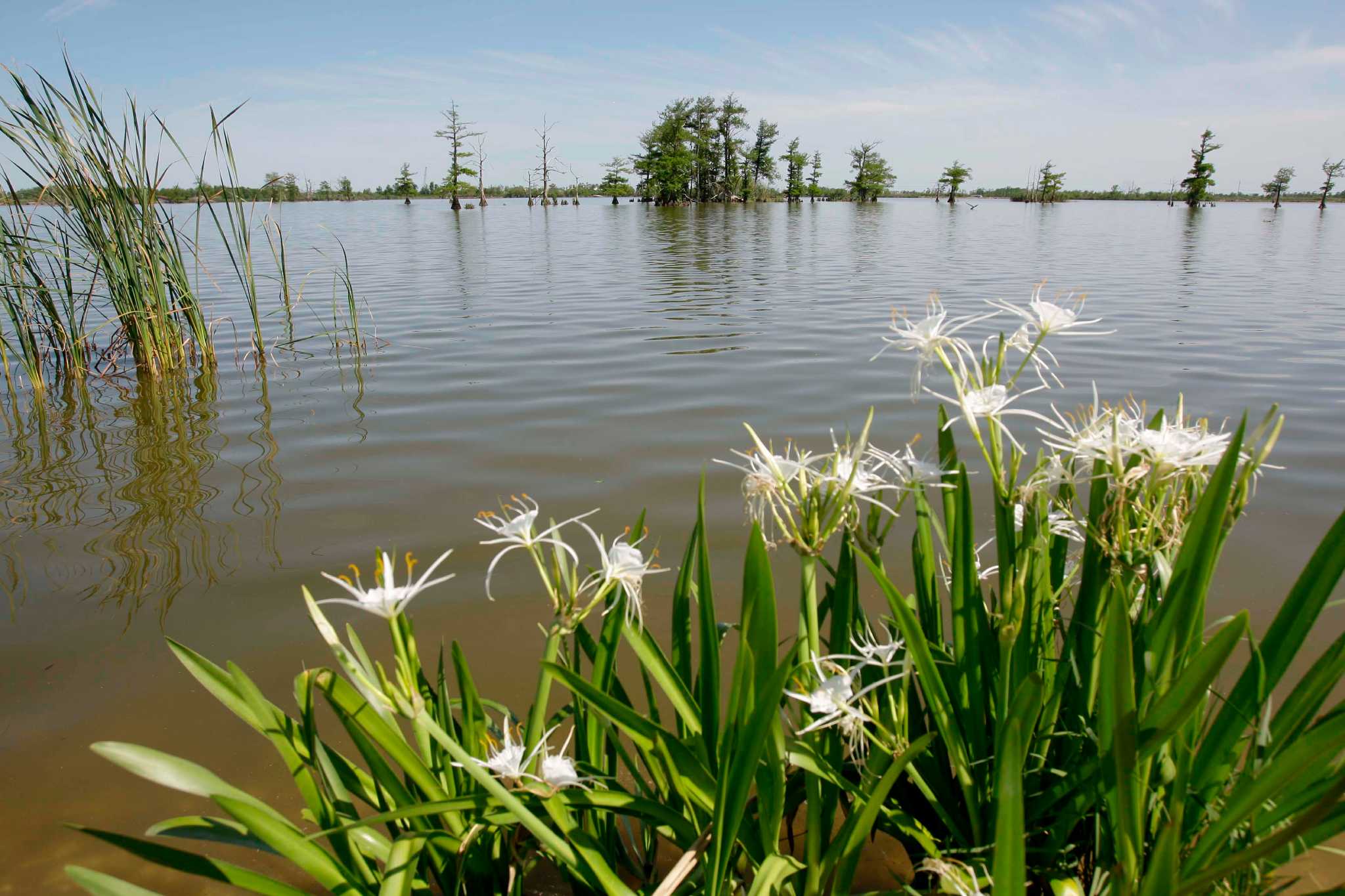 Coastal businesses are open and ready for you