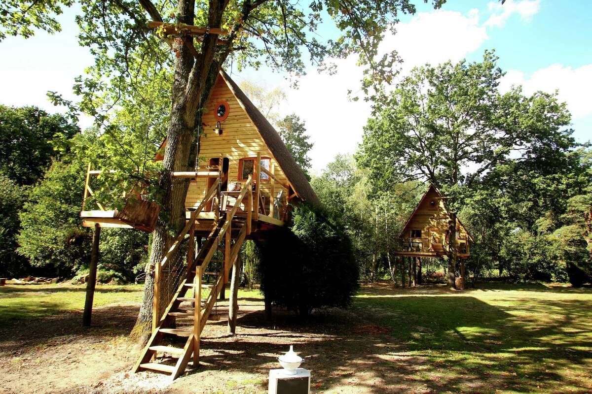 Bainbridge man builds 'hobbit house' cottage