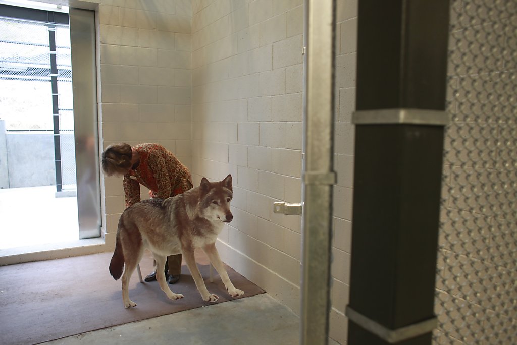 Oakland Zoo Veterinary Hospital opens