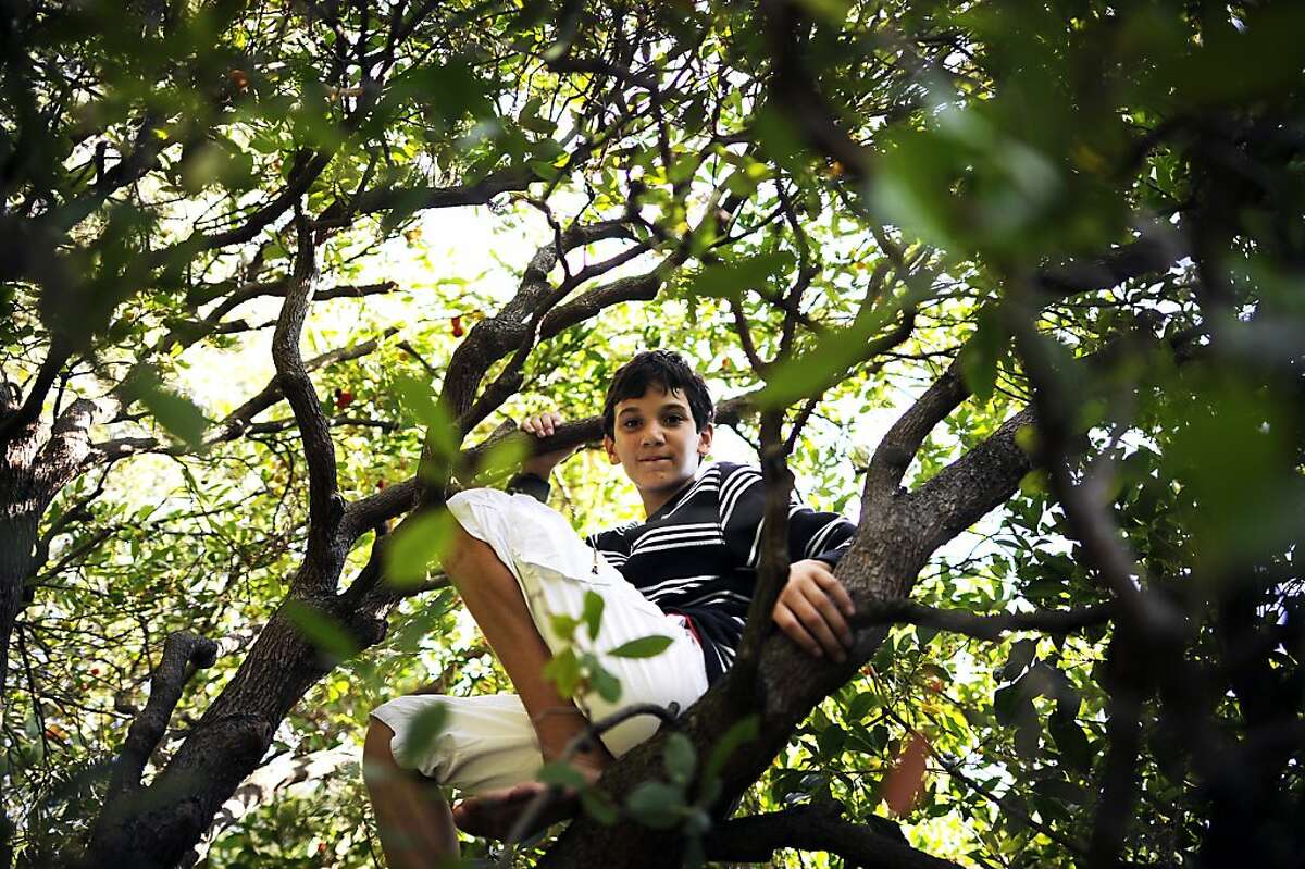 Colman Chadmon climbs a tree in his back yard at their home in Palo Alto. Colman has been asked to leave his middle school in Palo Alto, CA because he has the genetic markers for cystic fibrosis and the school doesn't want him near another student who is already there with CF. Tuesday, October 10th, 2012