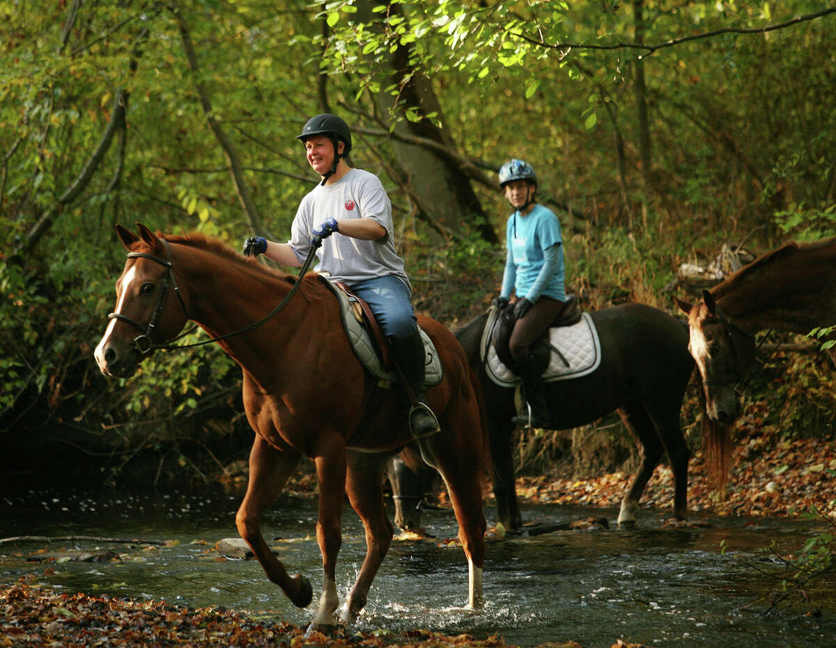 Take a horse out on the trails or even get riding lessons together at Spruce Farm. Experienced riders can head to Mead Farm in Stamford for trail riding through Stamford and Greenwich.