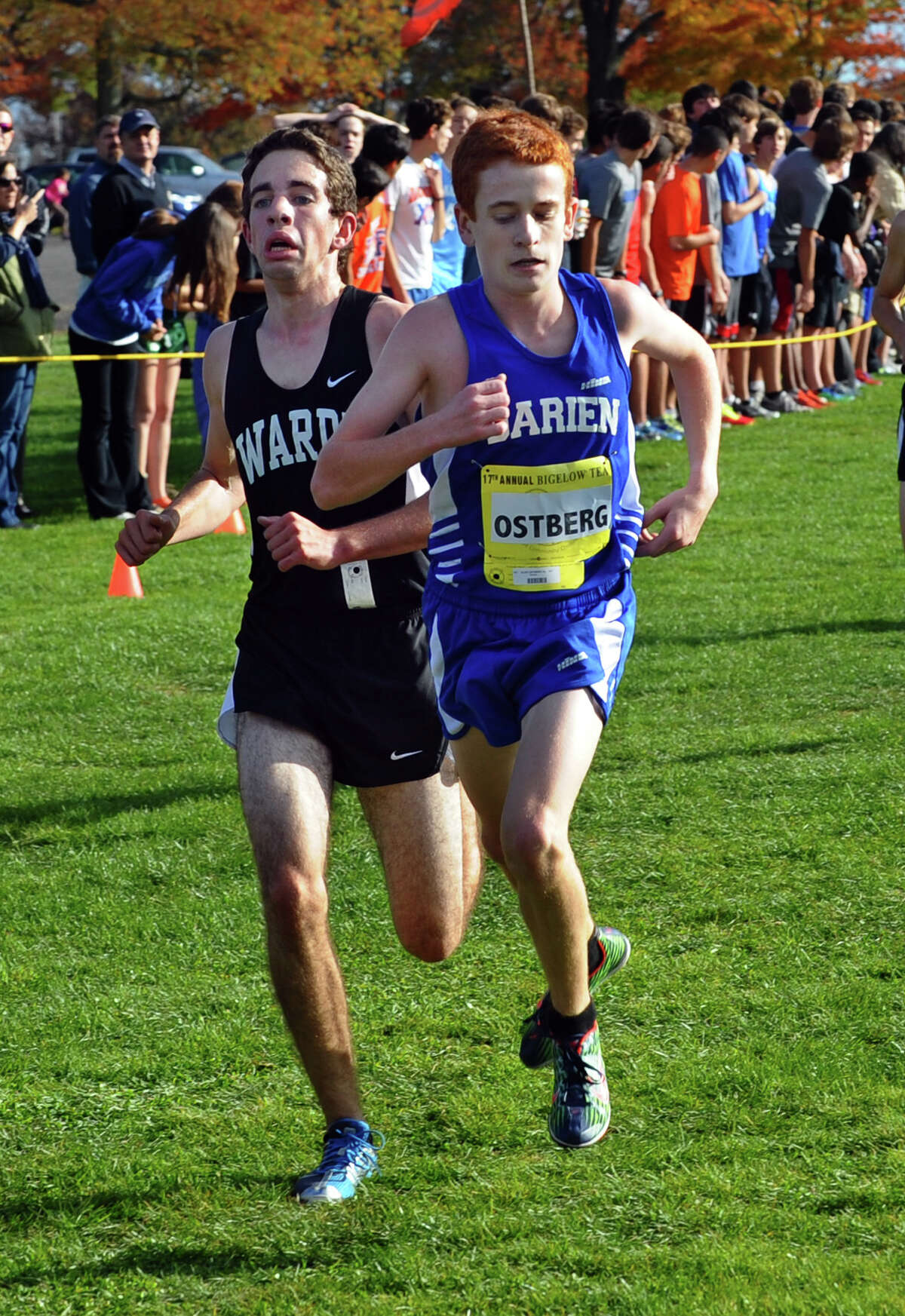 Staples' Wynne takes FCIAC cross country title; Danbury team champ