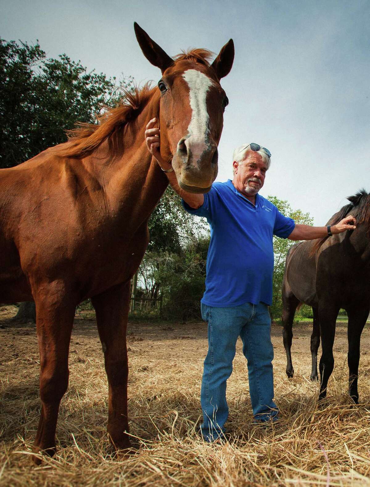 Jerry Finch, President and Founder of Habitat for Horses, examines several horses at the Habitat for Horses ranch, Monday, Oct. 15, 2012, in Hitchcock. Habitat for Horses rescues equines from starvation, neglect and abuse while providing equine rescue services to law enforcement, education services to horse owners and opportunities for the public to foster and adopt horses. ( Michael Paulsen / Houston Chronicle )