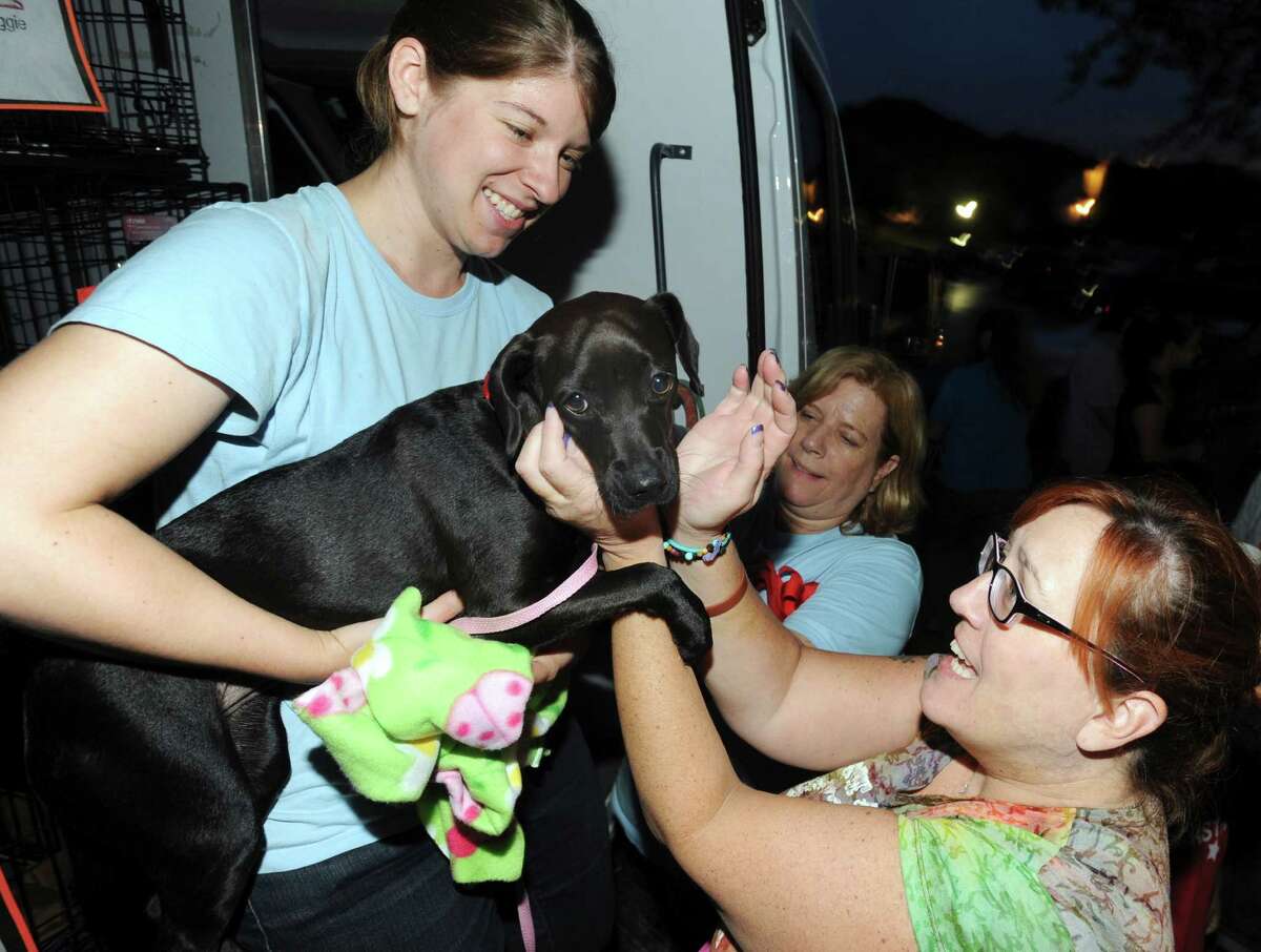 Teri Martinez says goodbye to the puppy that she has fostered for three weeks as Virginia Davidson holds the dog before loading it into a van for a trip to New Hampshire on Sept. 29, 2012. The dogs were transported from San Antonio to the Humane Society for Greater Nashua to be adopted.