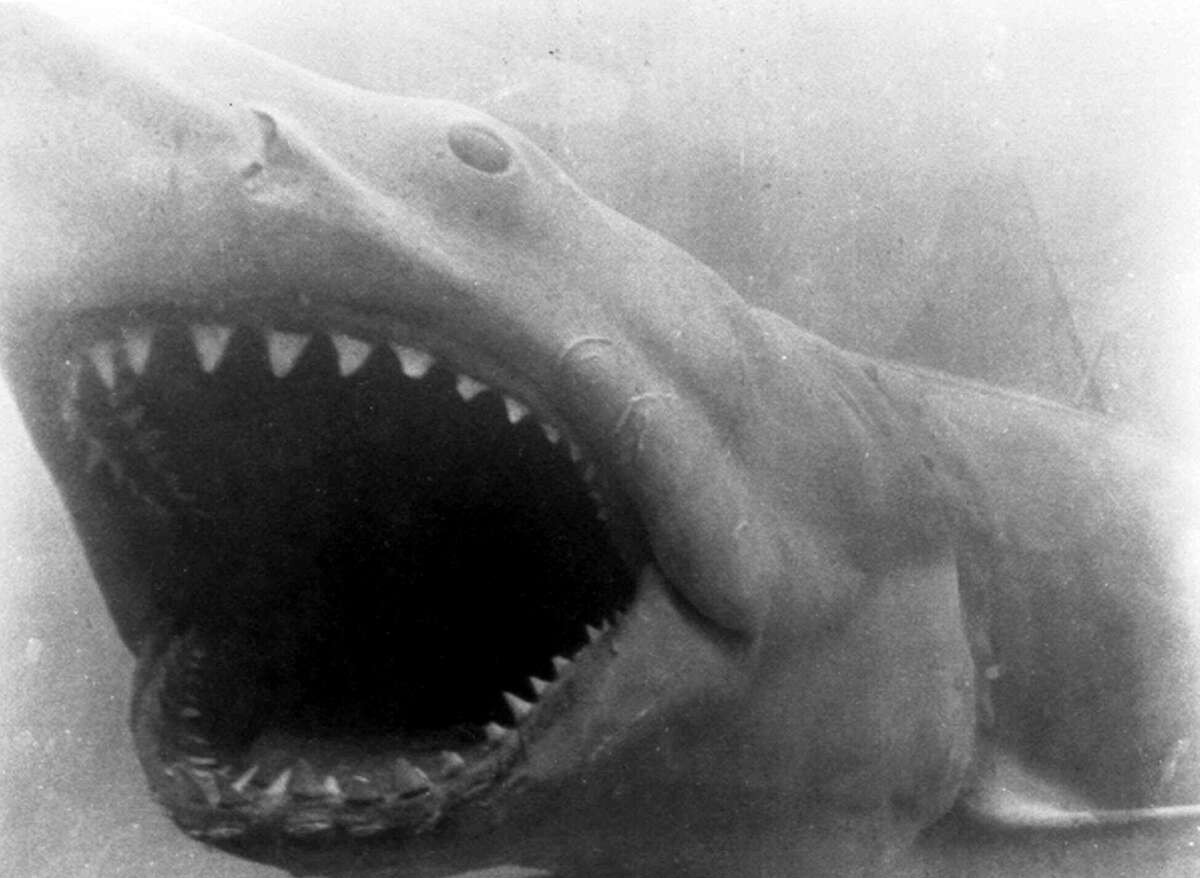 The Great White Shark from "Jaws" made beach enthusiasts and swimmers think twice before getting in the water.