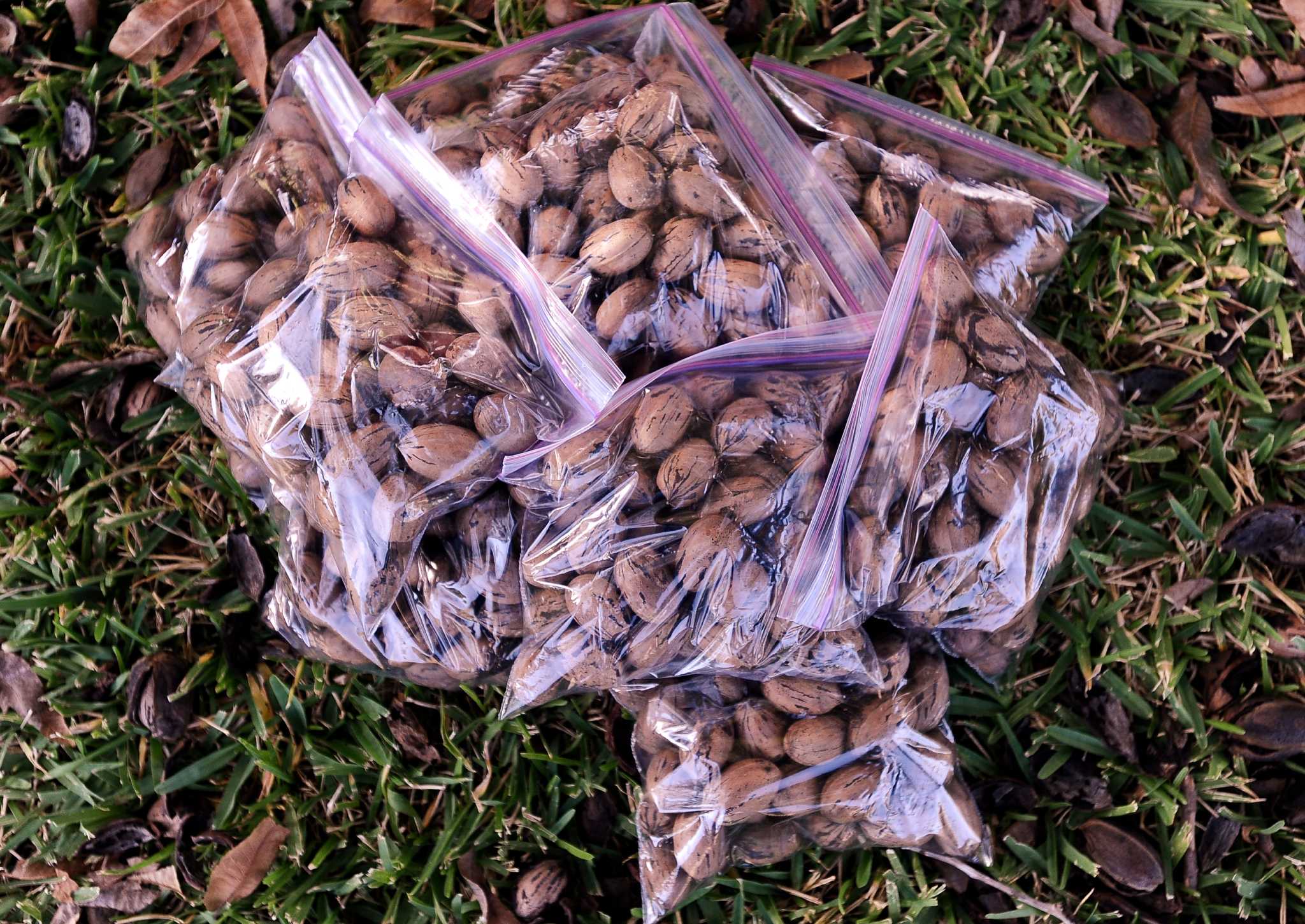 Is there any place in SE Texas to get pecans cracked?