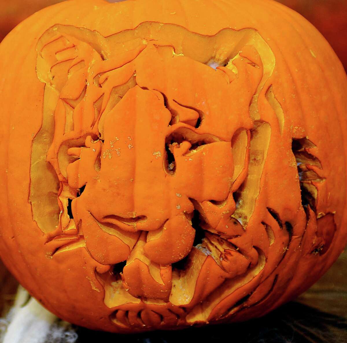 Beaumont Public Libraries Jack-O-Lantern carving contest.