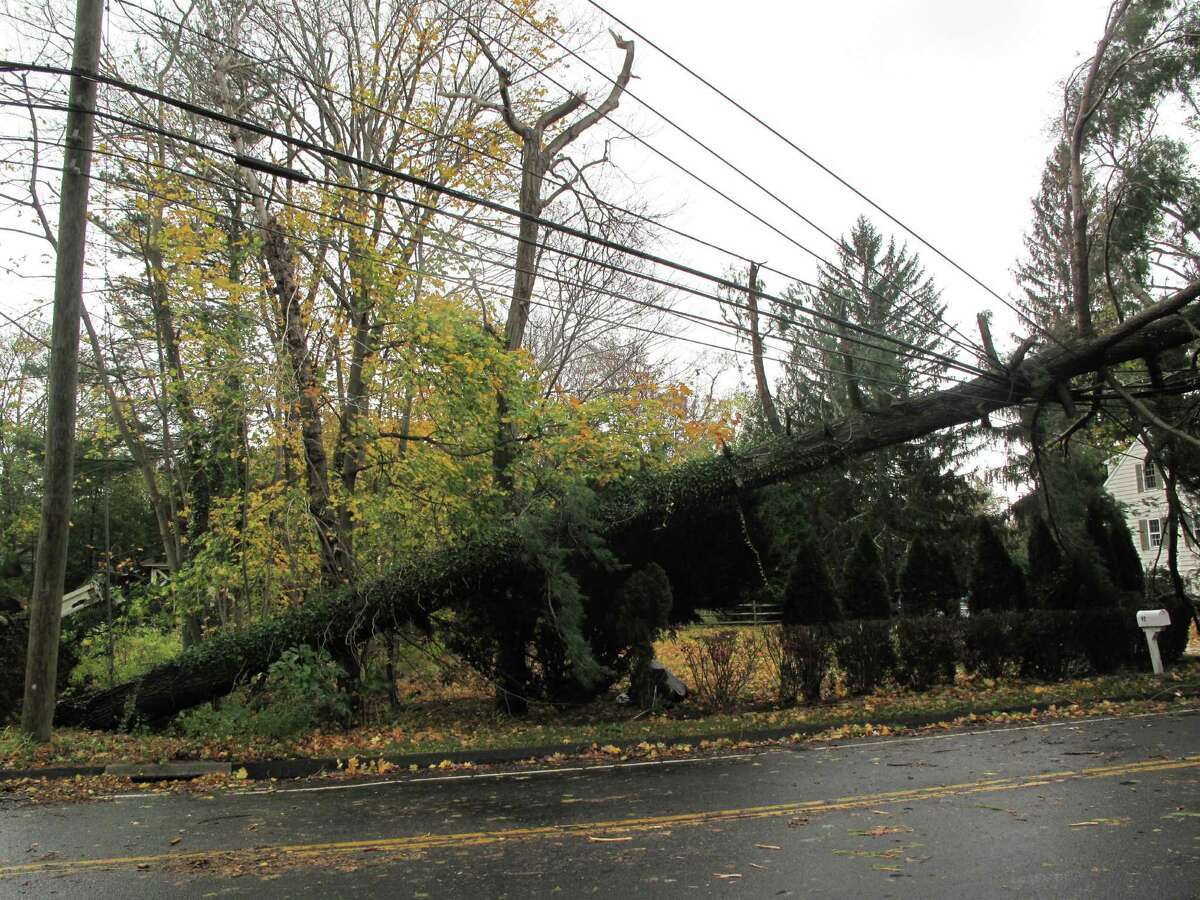 A fallen tree rests on power lines on New Canaan's Old Stamford Road, one of numerous areas of town ravaged by Hurricane Sandy.