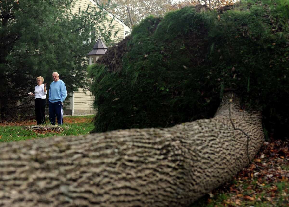 Financial impact of Hurricane Sandy unclear