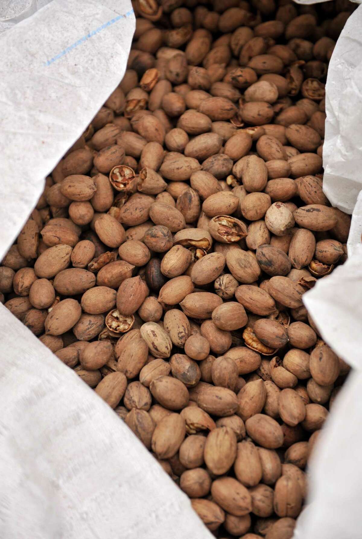 Pecan fans can go nuts this year