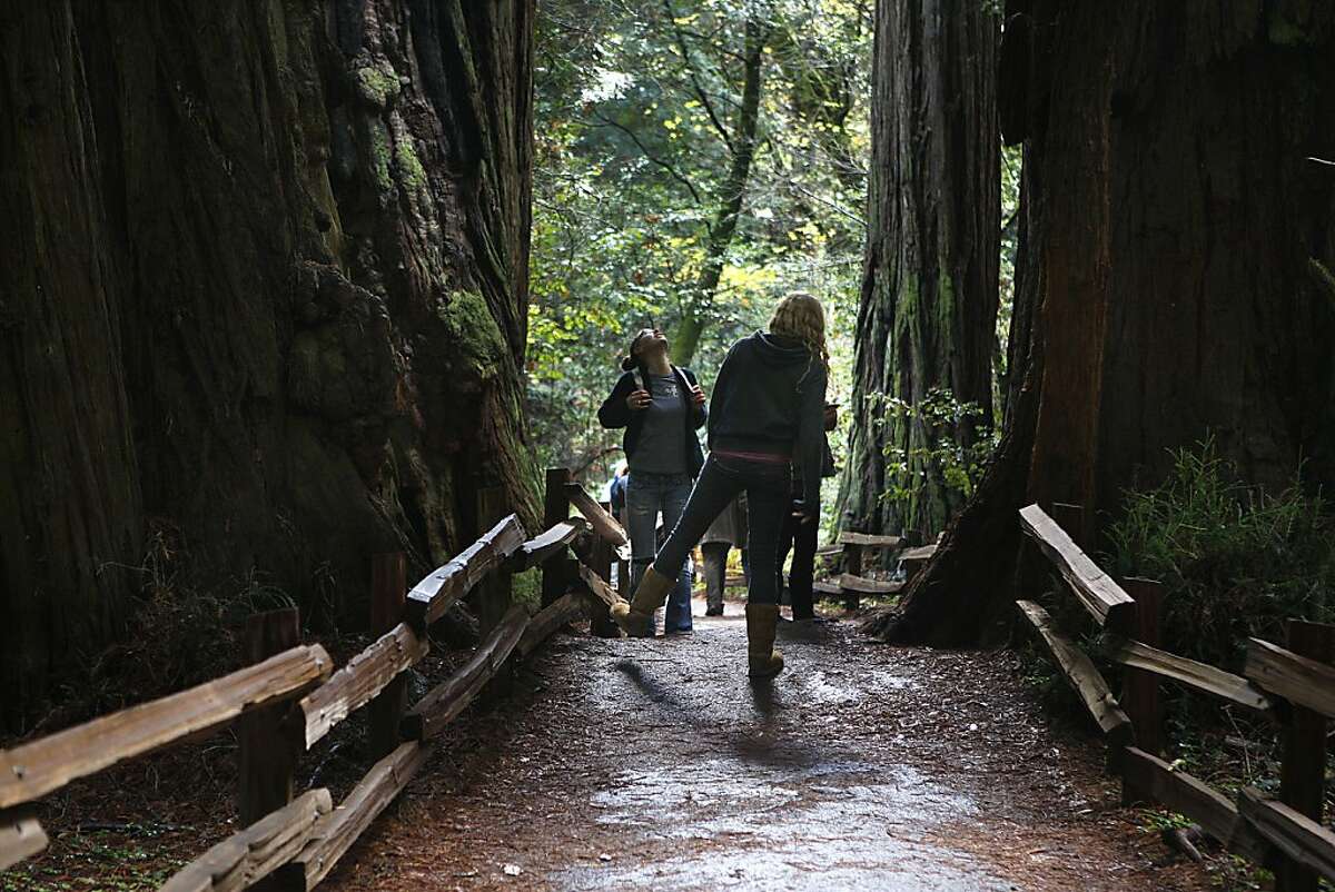 Visitors walk one of the trails through Muir Woods National Monument in West Marin, Calif.