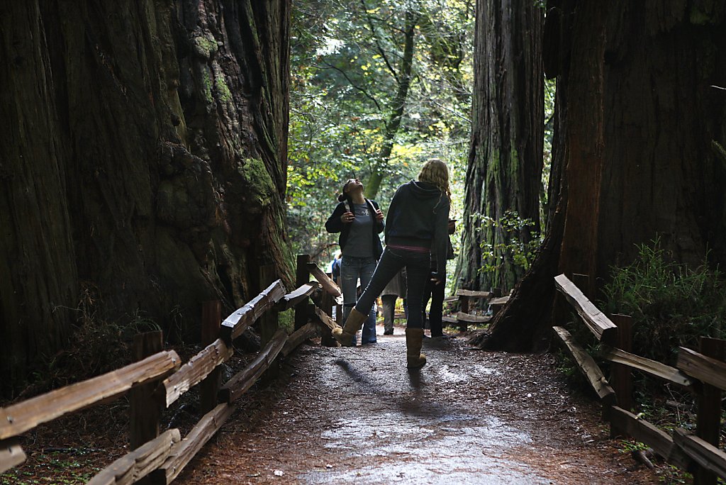 Muir Woods offers free weekend entry