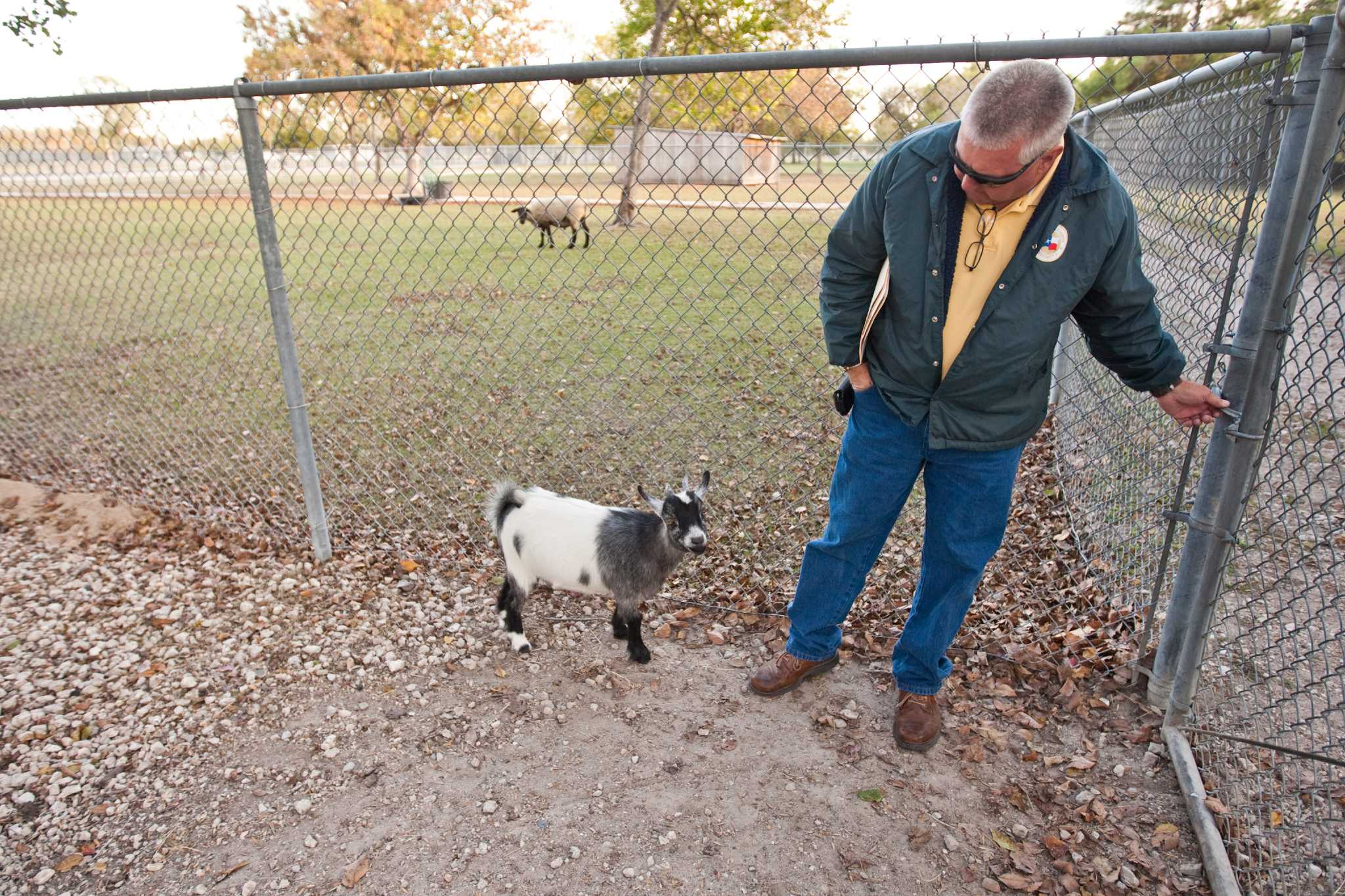 Bear Creek Zoo gets sheriff's goat