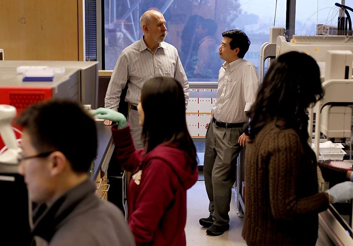 Neil Risch, (left) the priciple investigator for the project and the director of the institute for human genetics at UCSF and his colleague Dr. Pui-Yan Kwok, who also worked on the project, at the research lab where much of the data was collected, in San Francisco, Ca. on Friday Nov. 16, 2012, where much of the data was collected for the project. Research associates, Simon Wong, Eunice Wan and Gurpreet Mathauda-Sahota close by. Researchers at Kaiser Hospital and UCSF Medical Center have been working together on a project to do analysis on more than 100,000 Northern California members, have announced the first results of their work and found some pretty fascinating genetic results for everything from cholesterol and drug reaction to height and autism.
