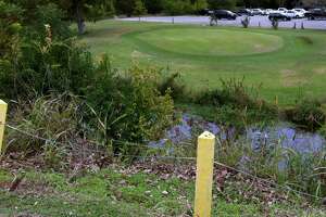A Round Here: Landa Park Golf Course