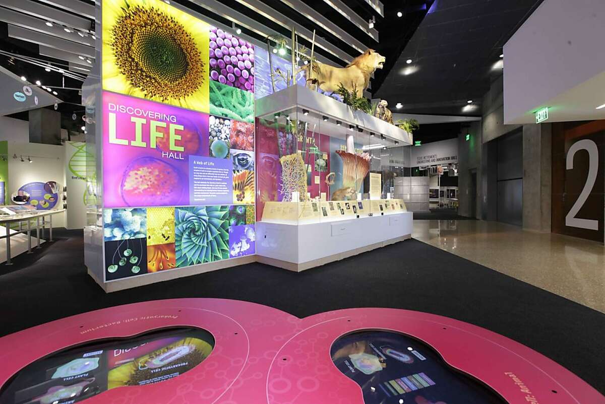 Perot Museum provides living lesson