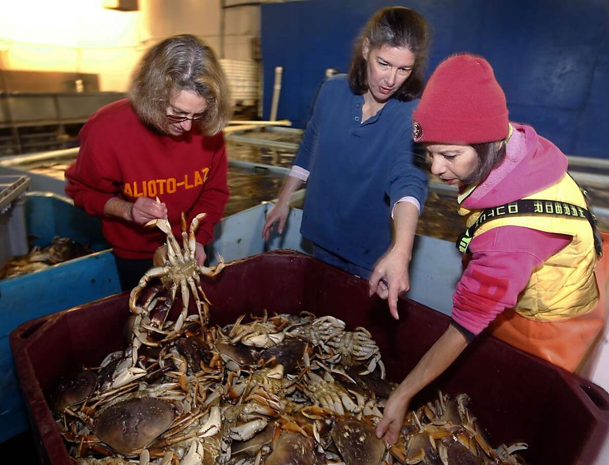 Sisters Mary Ann Shepherd, Angela Cincotta and Annette Traverso (L to R) sort through a bin of Dungeness crabs at the family-owned Alioto-Lazio Fish Company in San Francisco, Calif., on Friday, Nov. 19, 2010. The family has run the business since their grandfather Tom Lazio co-founded the company with Frank Alioto more than 50 years ago.