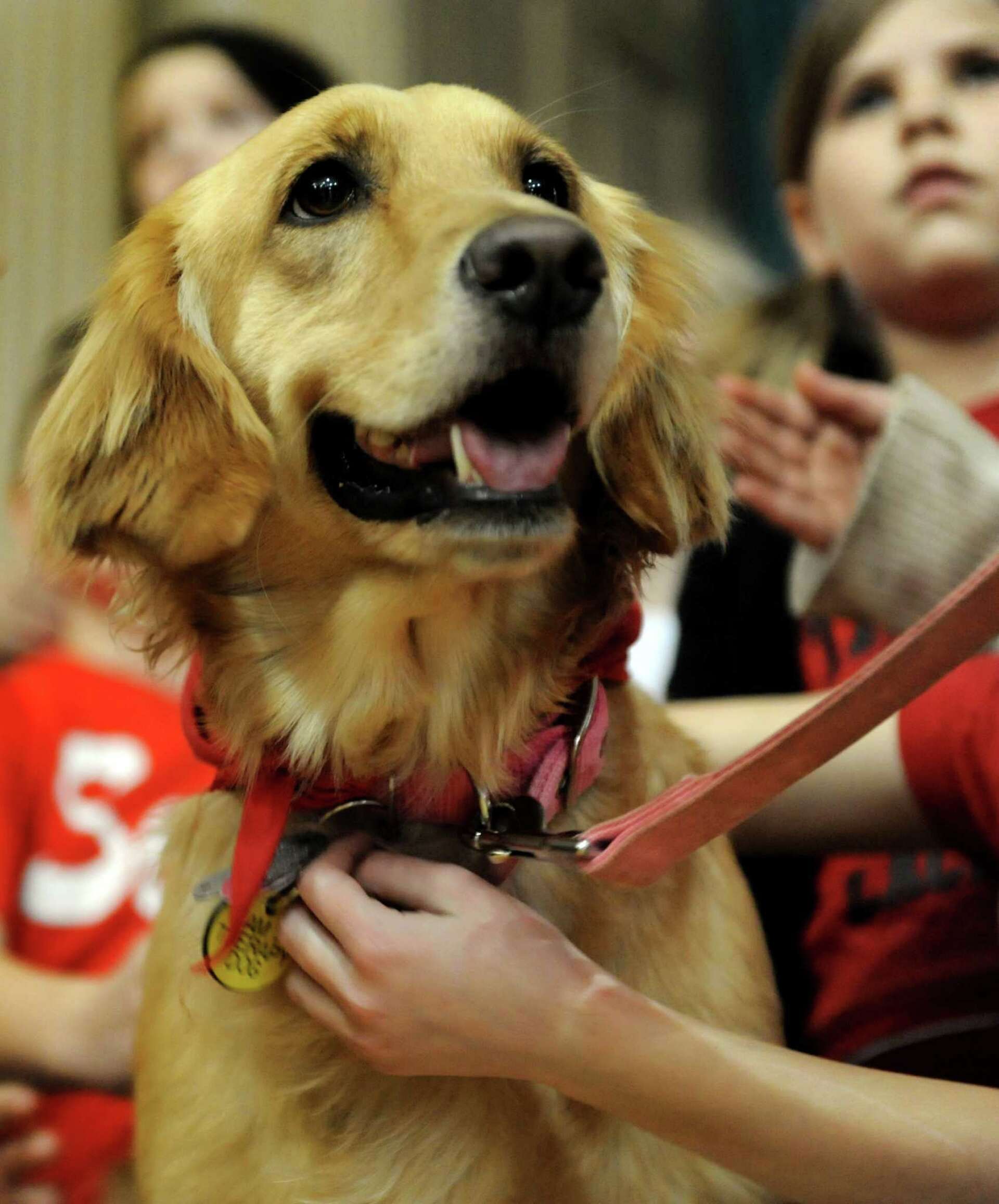Photos: Therapy dog visits school