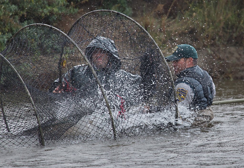 Good Week For Salmon Bad Week For Lohan 