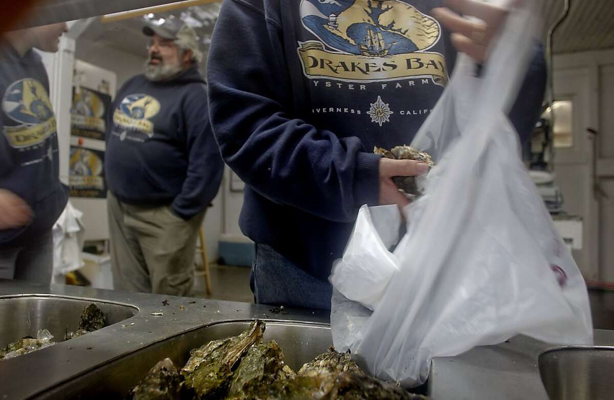 U.S. evicting Point Reyes oyster farmer
