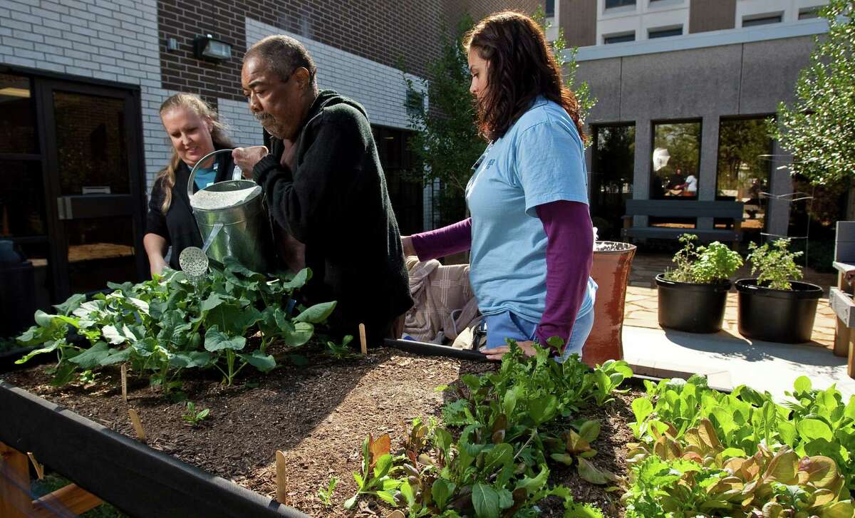 Horticultural therapy garden helps patients heal