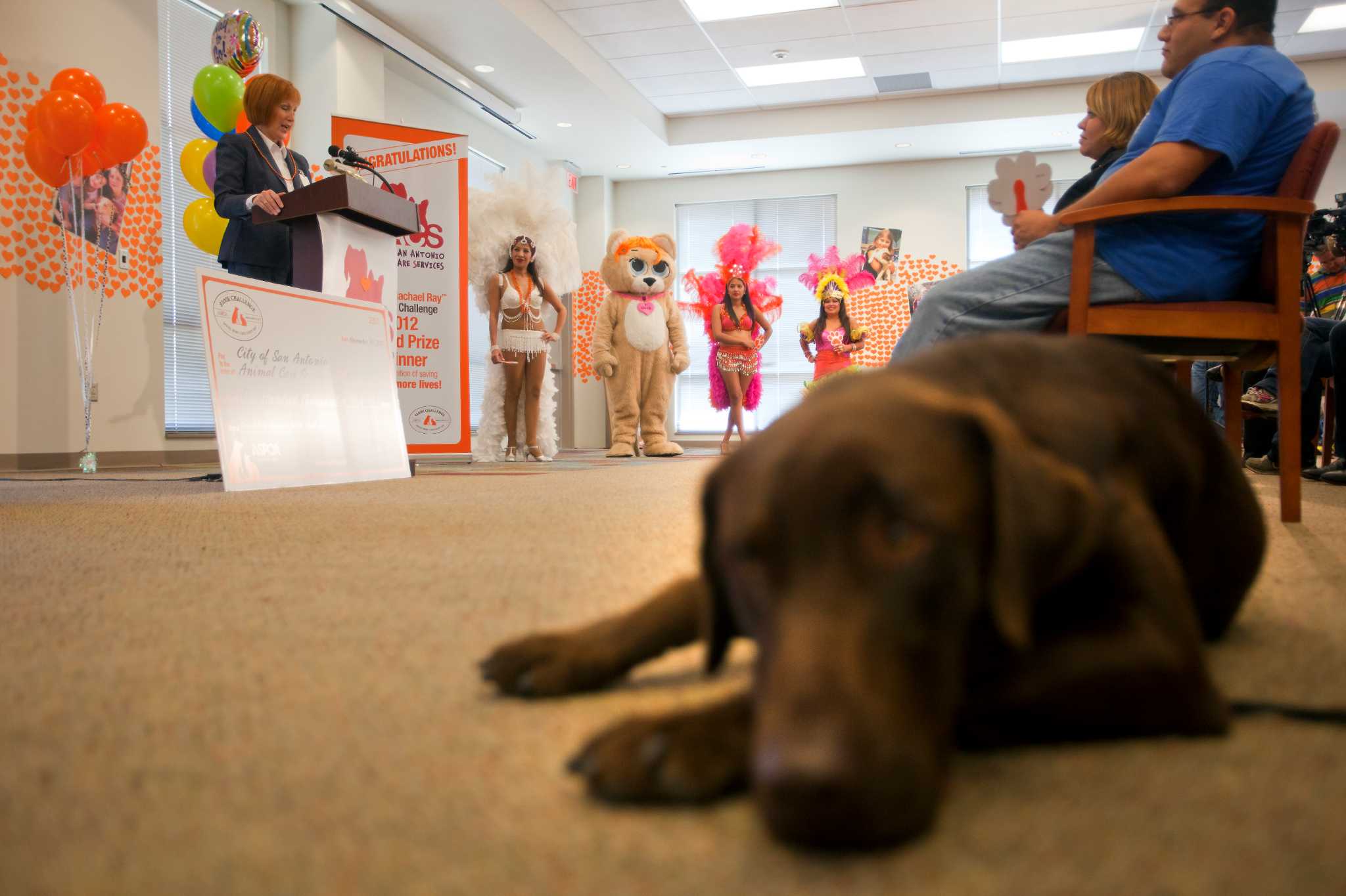 Animal Care Services wins national award