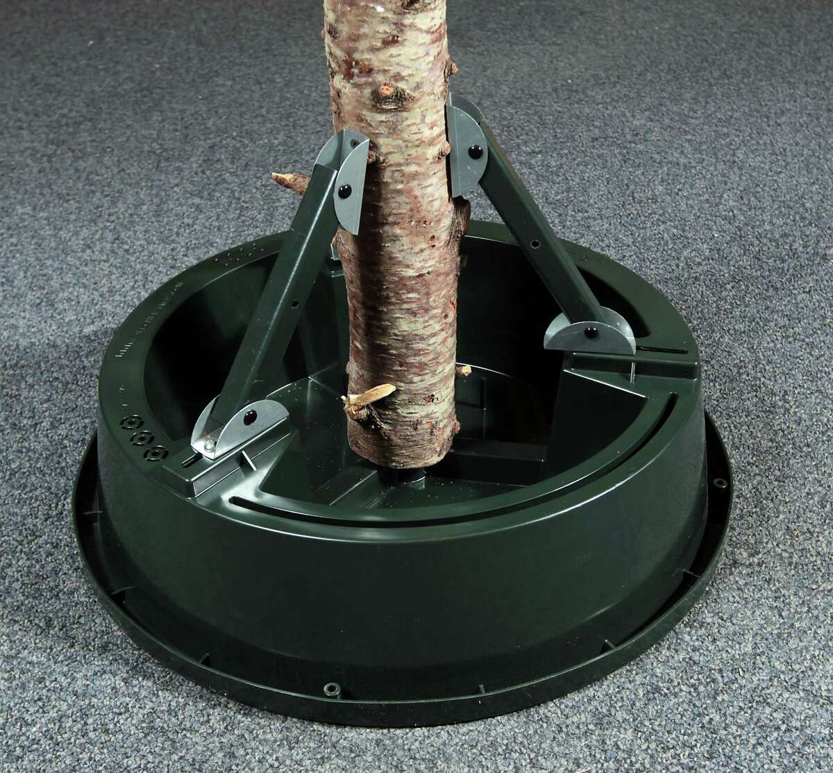 O Christmas tree, stand up straight