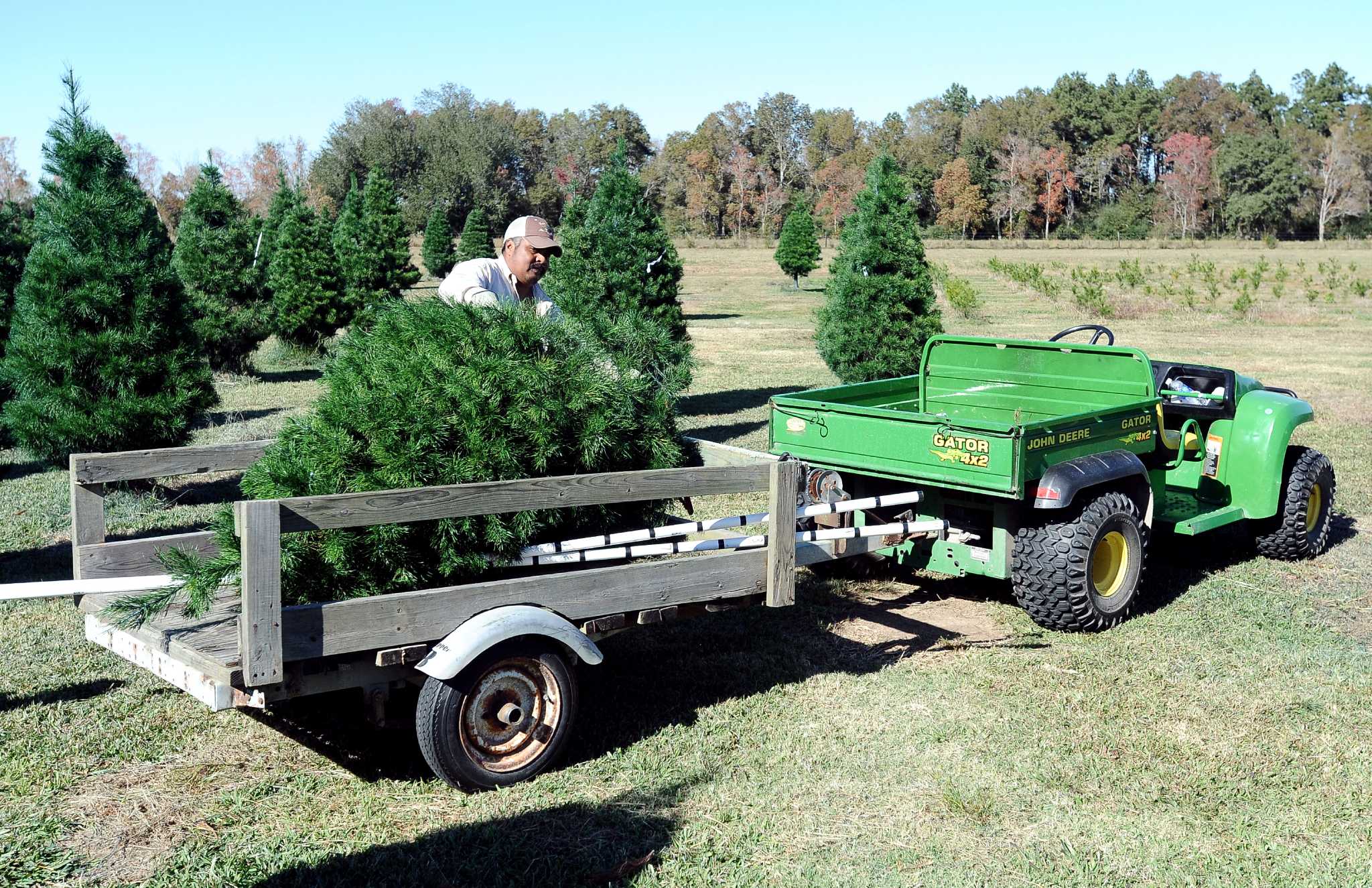 Twin Peaks To Give 150 Beaumont Veterans Christmas Trees