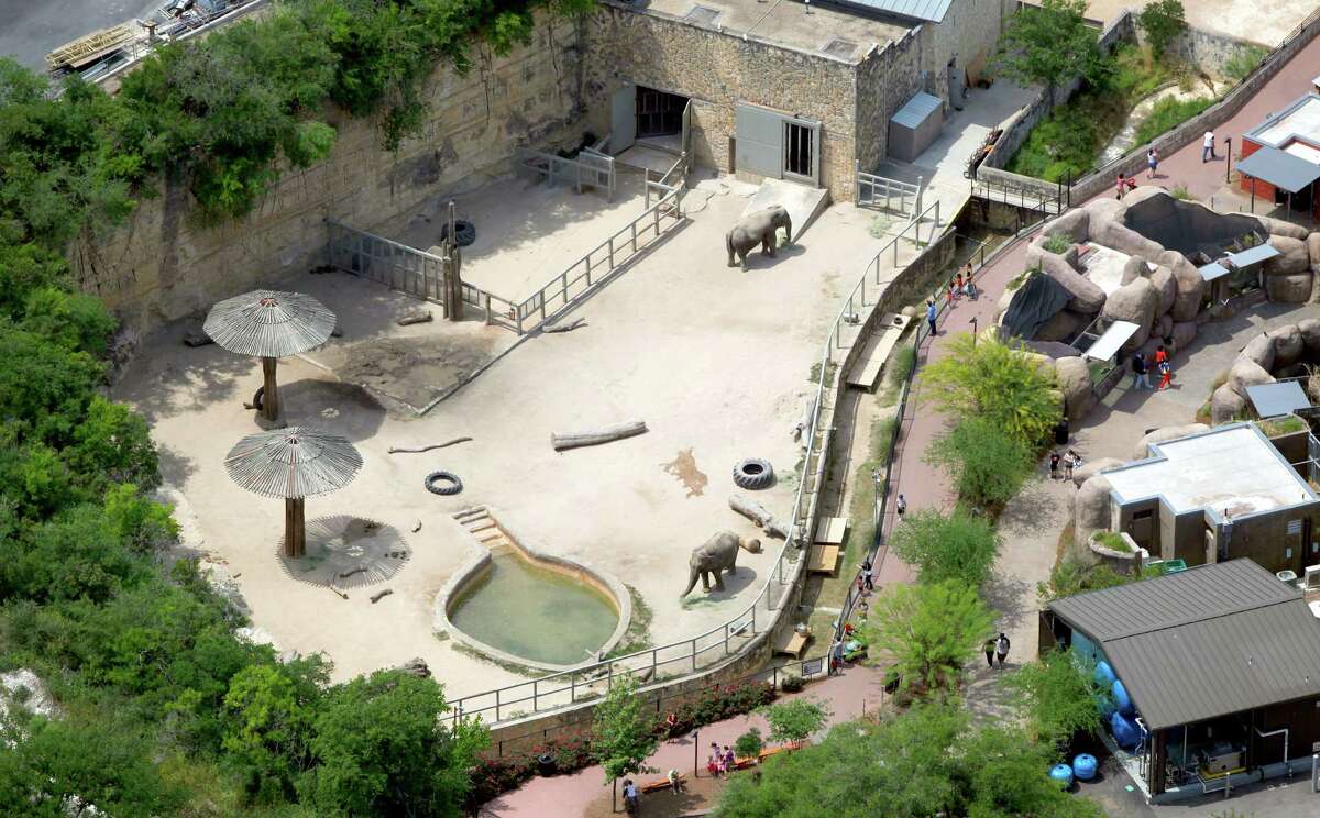 Lucky and Boo, the San Antonio Zoo's Asian Elephants, are seen in the zoo's elephant enclosure in this April 10, 2012 aerial photo.