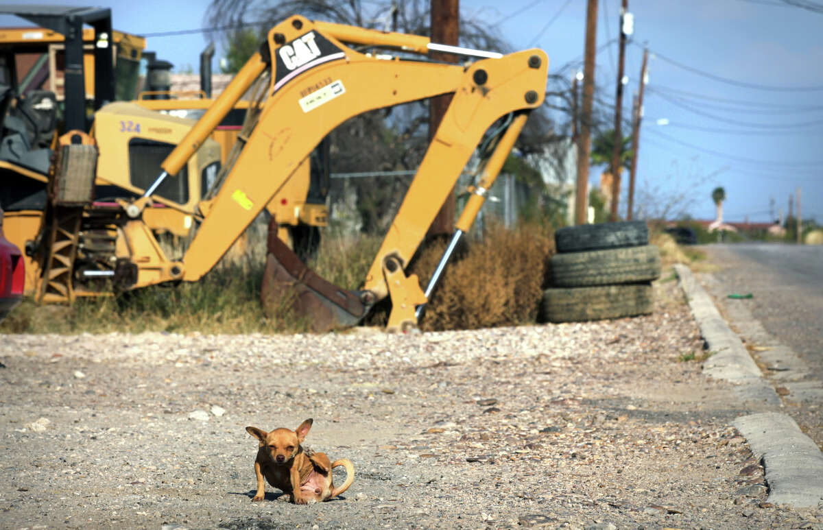 A little dog busily scratches itself near some Maverick County equipment, which is sitting unused along the side of a street paved within the past few years in the impoverished Precinct 2 colonia of Pueblo Nuevo.