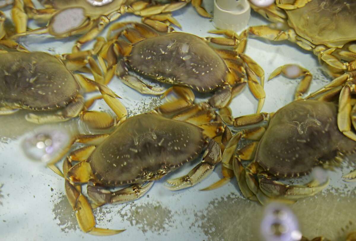 Deal set on Dungeness crab - strike ends