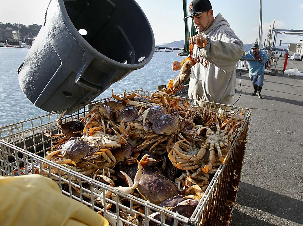 Fisherman's penalty for undersize crab overturned