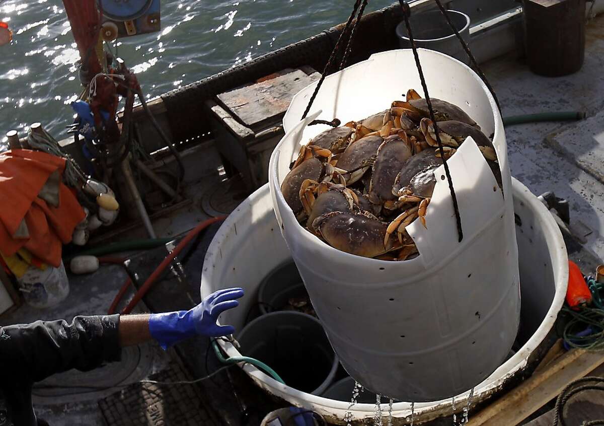 Fisherman's penalty for undersize crab overturned