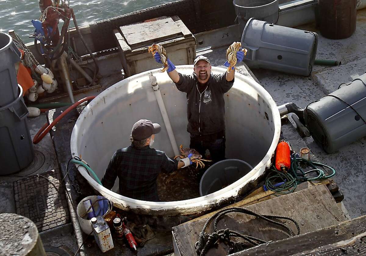 Crab fishermen haul in their first catch.