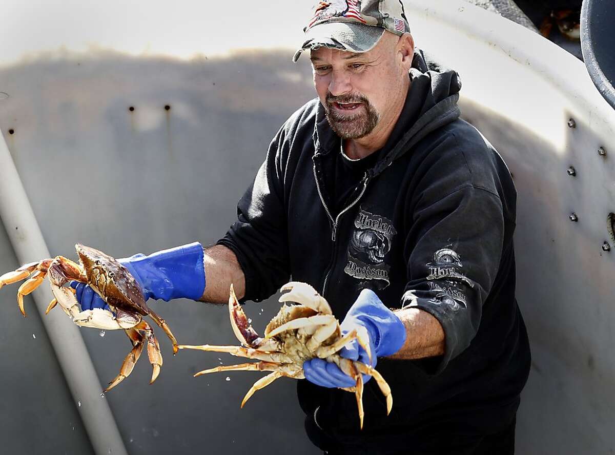 Crab fishermen haul in their first catch.