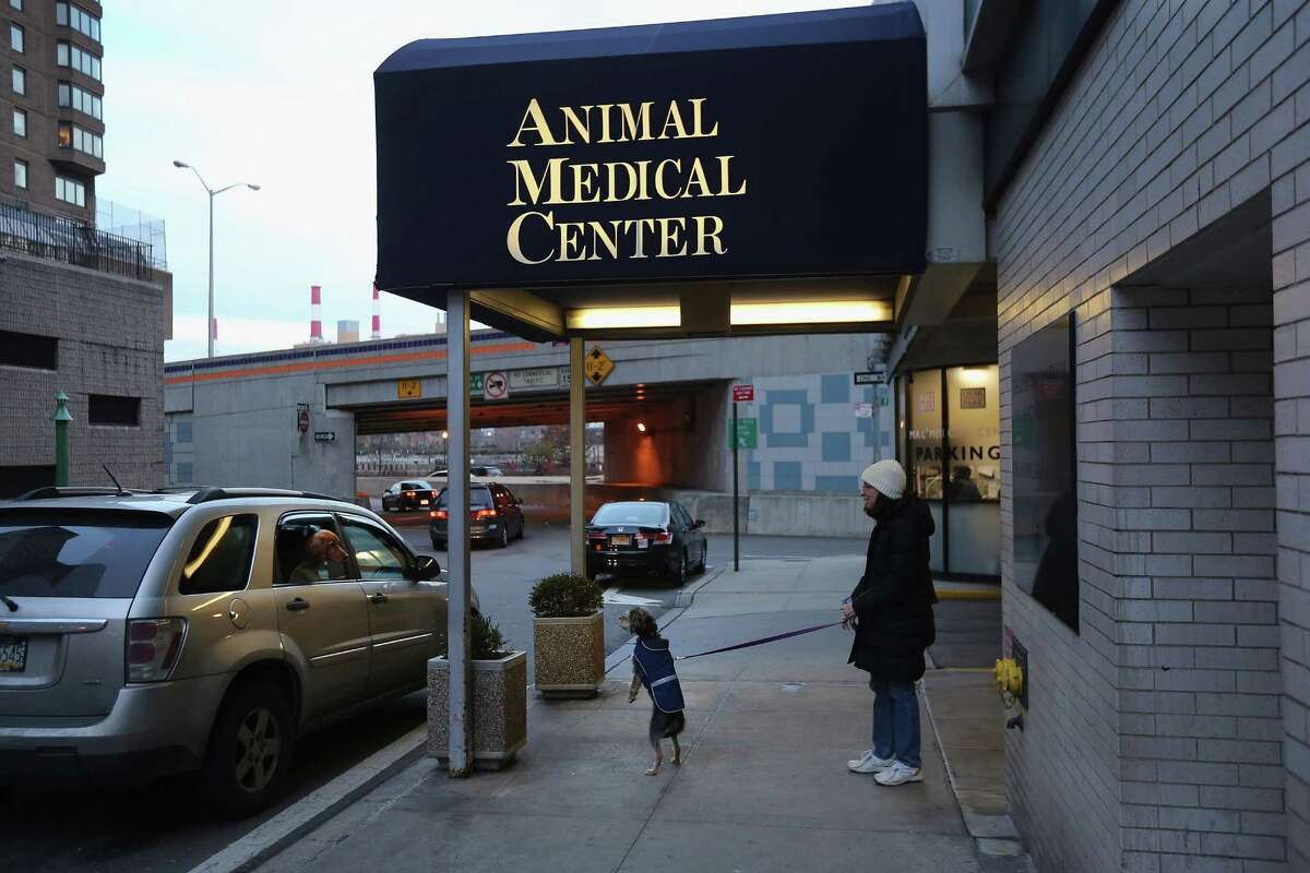 Animal best sale hospital manhattan